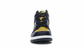 Nike Dunk High Michigan (2020)