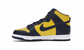 Nike Dunk High Michigan (2020)